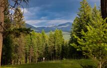 598 Aspen Glen Road, Eureka