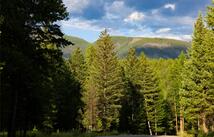 598 Aspen Glen Road, Eureka