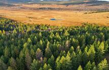 218 Walking Coyote Drive, Kalispell