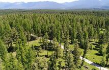 Lot 2 Meadow Springs Subdivision, Fortine