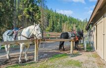Nhn Horse Riding Business, Kalispell