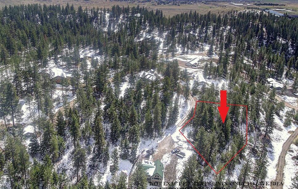 31009 Canyon View Place, Polson