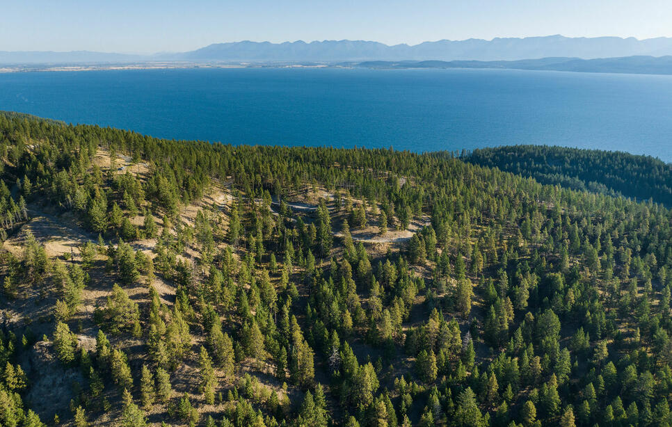 168 Angel Point Preserve, Lakeside