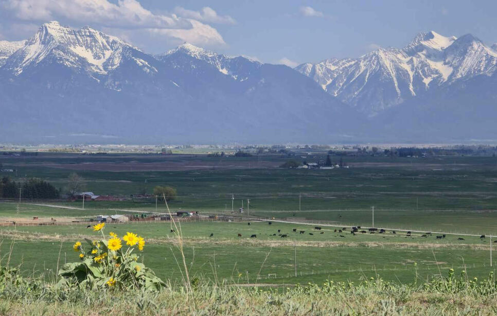 44549 Turnquist Road, Ronan