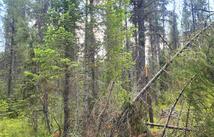 9295 Highway 93 N, Olney