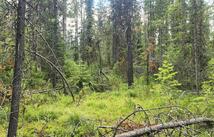 9295 Highway 93 N, Olney