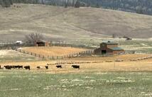 3 Finley Gulch Road (320 Acre Ranch), Lonepine