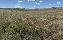 38103 Valley Hills Lane, Polson