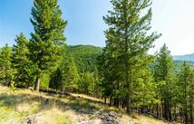 123 Seeley Lane, Kila