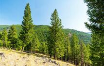 123 Seeley Lane, Kila