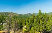 123 Seeley Lane, Kila