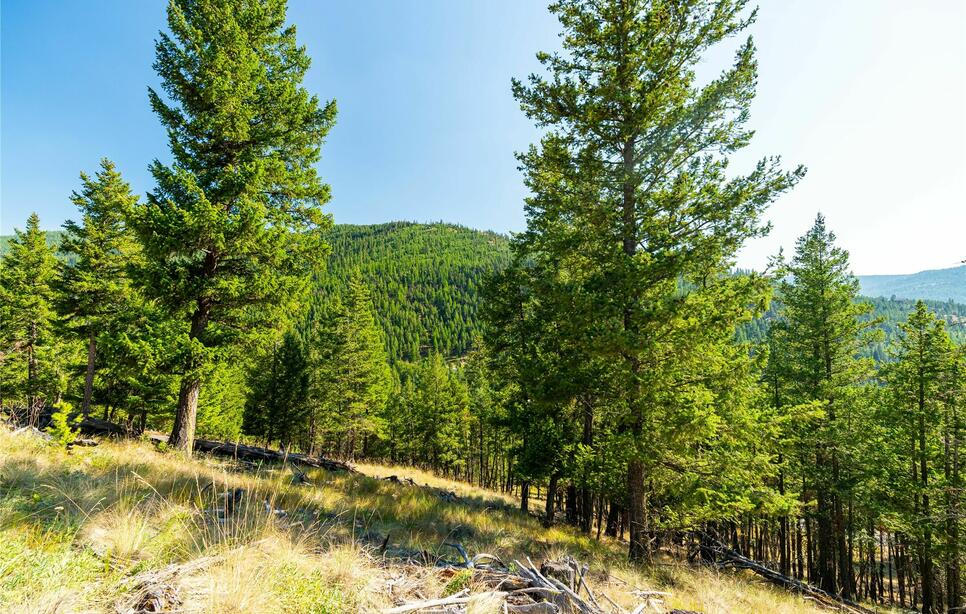 123 Seeley Lane, Kila