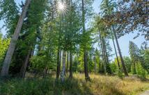 1000 Colorado Avenue, Whitefish