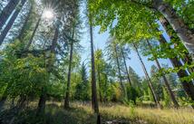 1000 Colorado Avenue, Whitefish