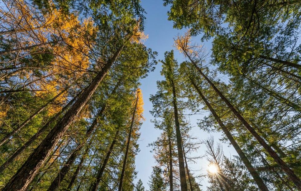 150 & 156 Peters Creek Way, Kalispell