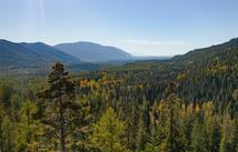 Nhn Kelly Mountain Road, Columbia Falls