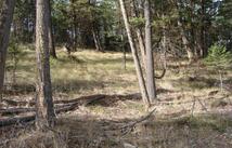 Lot 8 Coyote Ridge Pass Road Whispering Pines, Fortine