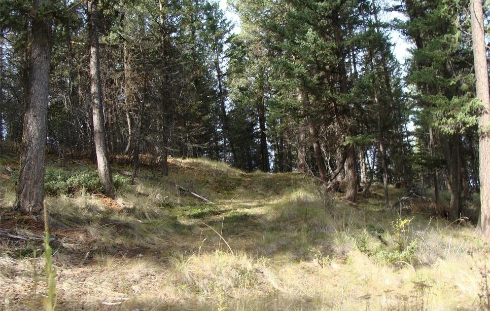 Lot 8 Coyote Ridge Pass Road Whispering Pines, Fortine