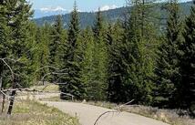 517 Haskill Ranch Road, Kila