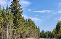Tbd Lot #81 Meadow Lake Drive, Columbia Falls