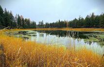 465 & Nhn Dodge Creek Road, Rexford