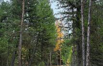 465 & Nhn Dodge Creek Road, Rexford