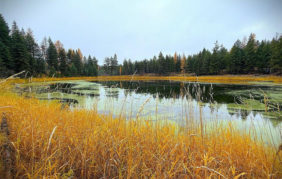 465 & Nhn Dodge Creek Road, Rexford