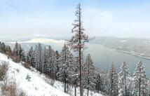 218 Elk Highlands Drive, Whitefish