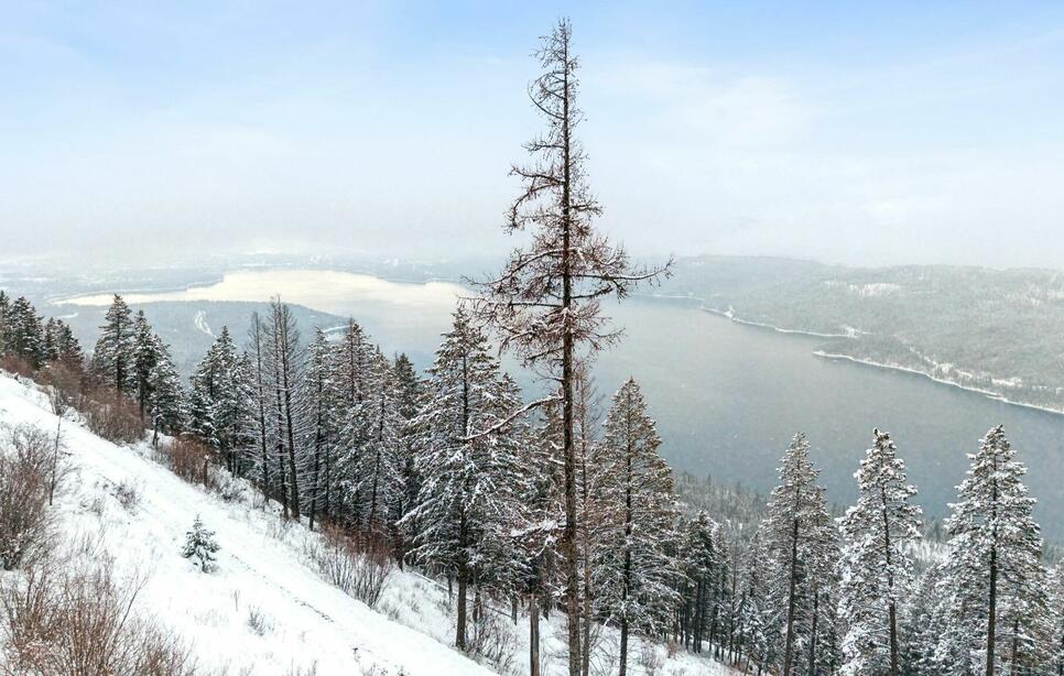 218 Elk Highlands Drive, Whitefish