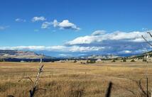 29068 Walking Horse Lane, Big Arm