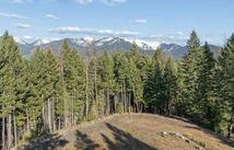 55 Wild Turkey Lane, Kalispell