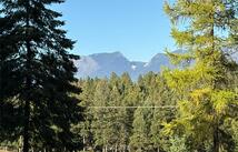 Nhn (lot 1b) Badger Trail, Eureka