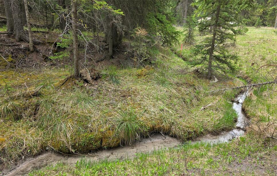 1776 Coon Hollow Road, Kila