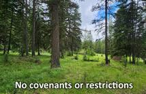 1720 Coon Hollow Road, Kila