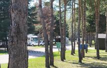 34597 Mt Hwy 35, Polson