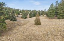 103 Terrace Road, Kalispell