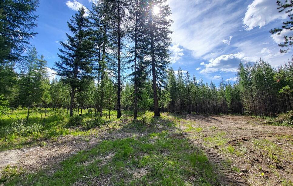 34388 Shay Lake Road, Bigfork