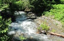 Nhn Sinclair Lane, Eureka