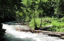 Nhn Sinclair Lane, Eureka