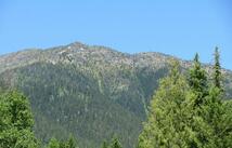 Nhn Sinclair Lane, Eureka