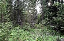 Nhn Soaring Eagle Trail, Fortine