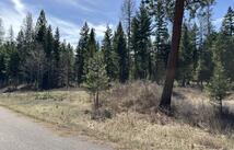 238 Haskill Ranch Road 8.7 Acres, Kila