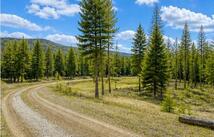 237 Haskill Ranch Road 18.18 Acres, Kila