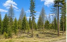 237 Haskill Ranch Road 18.18 Acres, Kila