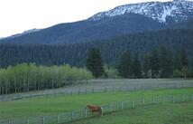 41694 Canal Road, Ronan
