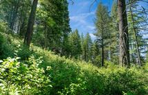 643 Saddlehorn Trail, Bigfork