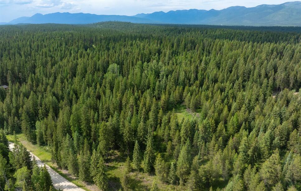Nhn Lupfer Road, Whitefish