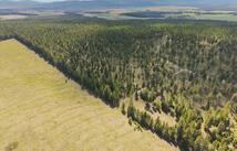 245 Layton Road, Whitefish