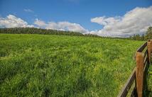 W. Kootenai Road, Rexford