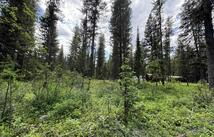 768 Deep Woods Trail, Polebridge